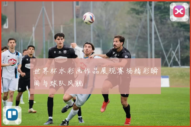世界杯水彩画作品展现赛场精彩瞬间与球队风貌