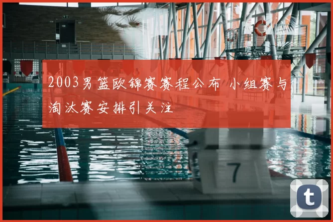 2003男篮欧锦赛赛程公布 小组赛与淘汰赛安排引关注