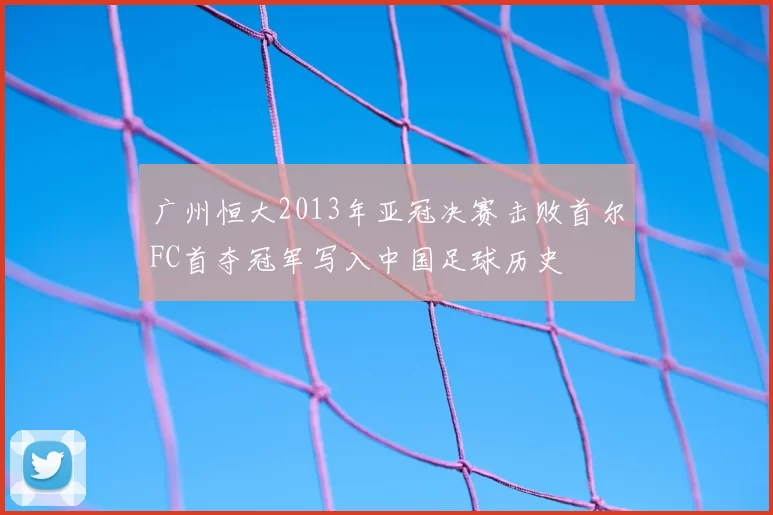 广州恒大2013年亚冠决赛击败首尔FC首夺冠军写入中国足球历史
