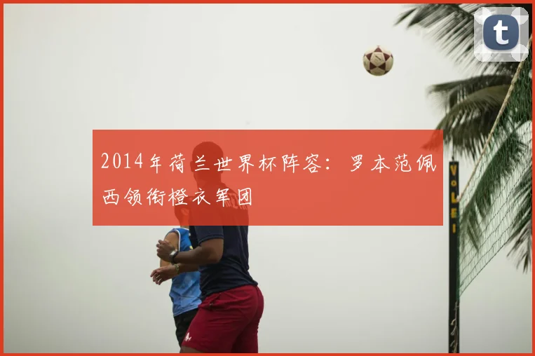 2014年荷兰世界杯阵容：罗本范佩西领衔橙衣军团