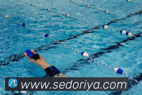 九游体育注册入口平台生态图